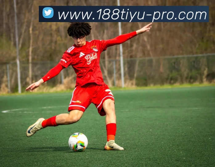 188体育服务体系