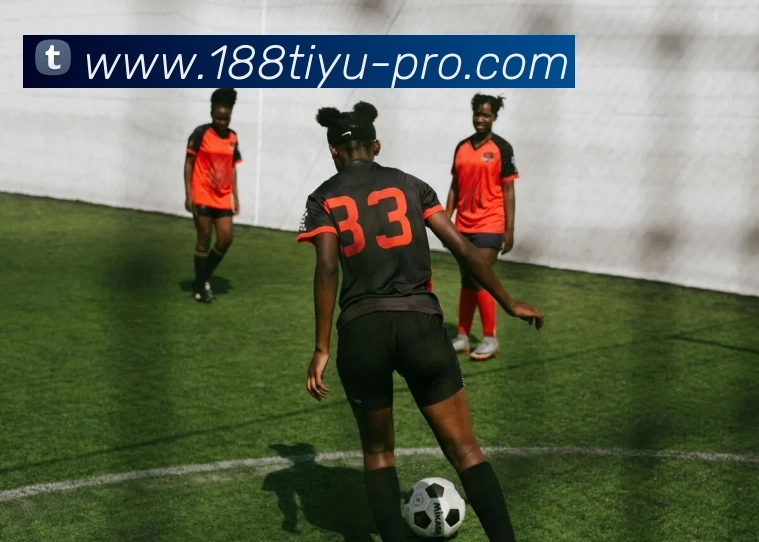 多媒体互动体验